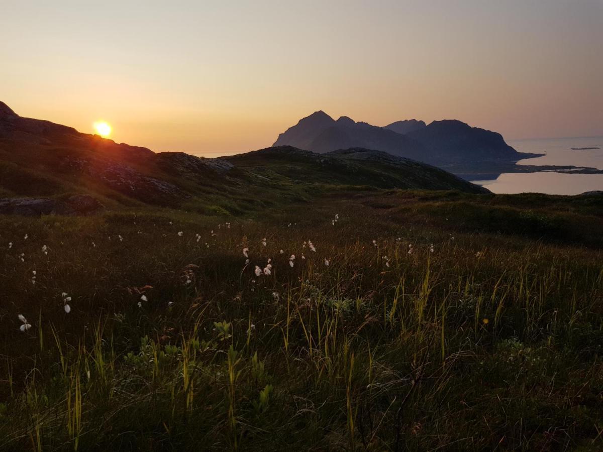 Villa Walter Lofoten With Sauna Kvalnes  Esterno foto