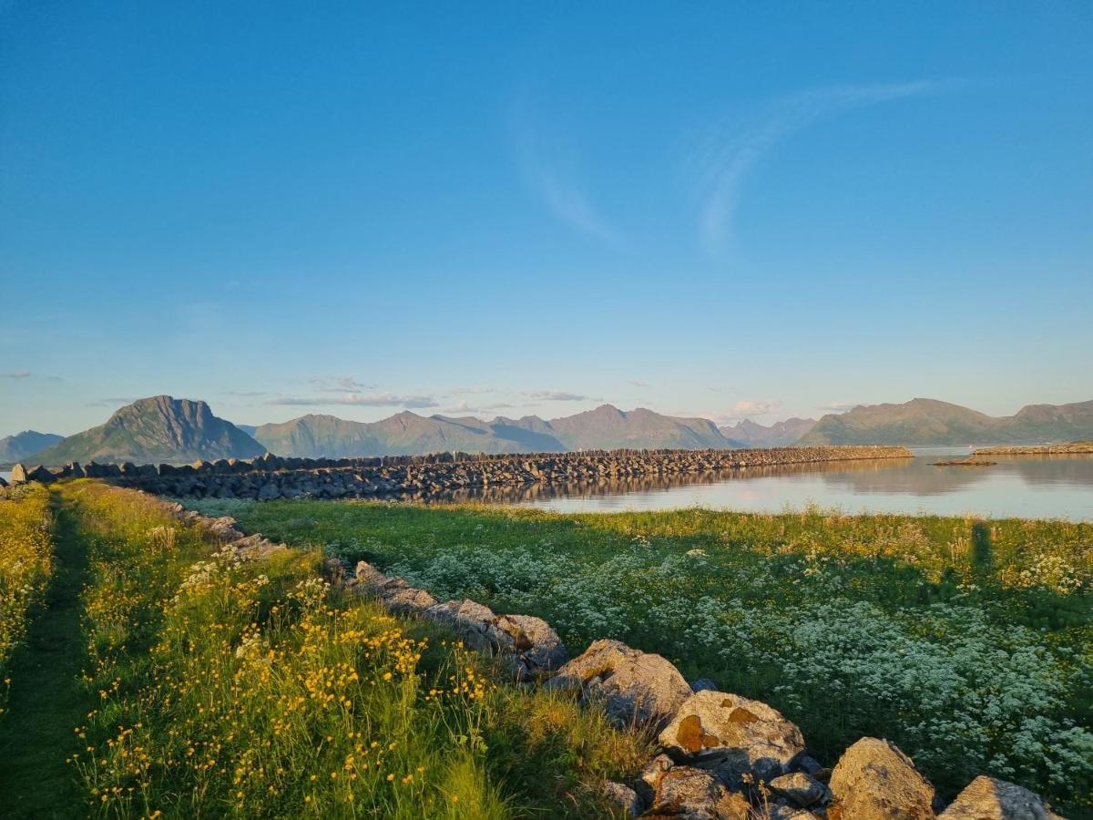 Villa Walter Lofoten With Sauna Kvalnes  Esterno foto
