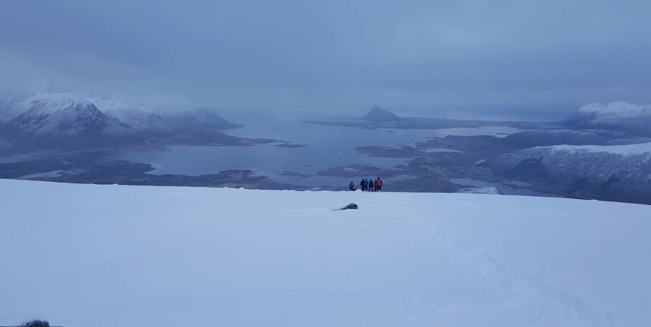 Villa Walter Lofoten With Sauna Kvalnes  Esterno foto