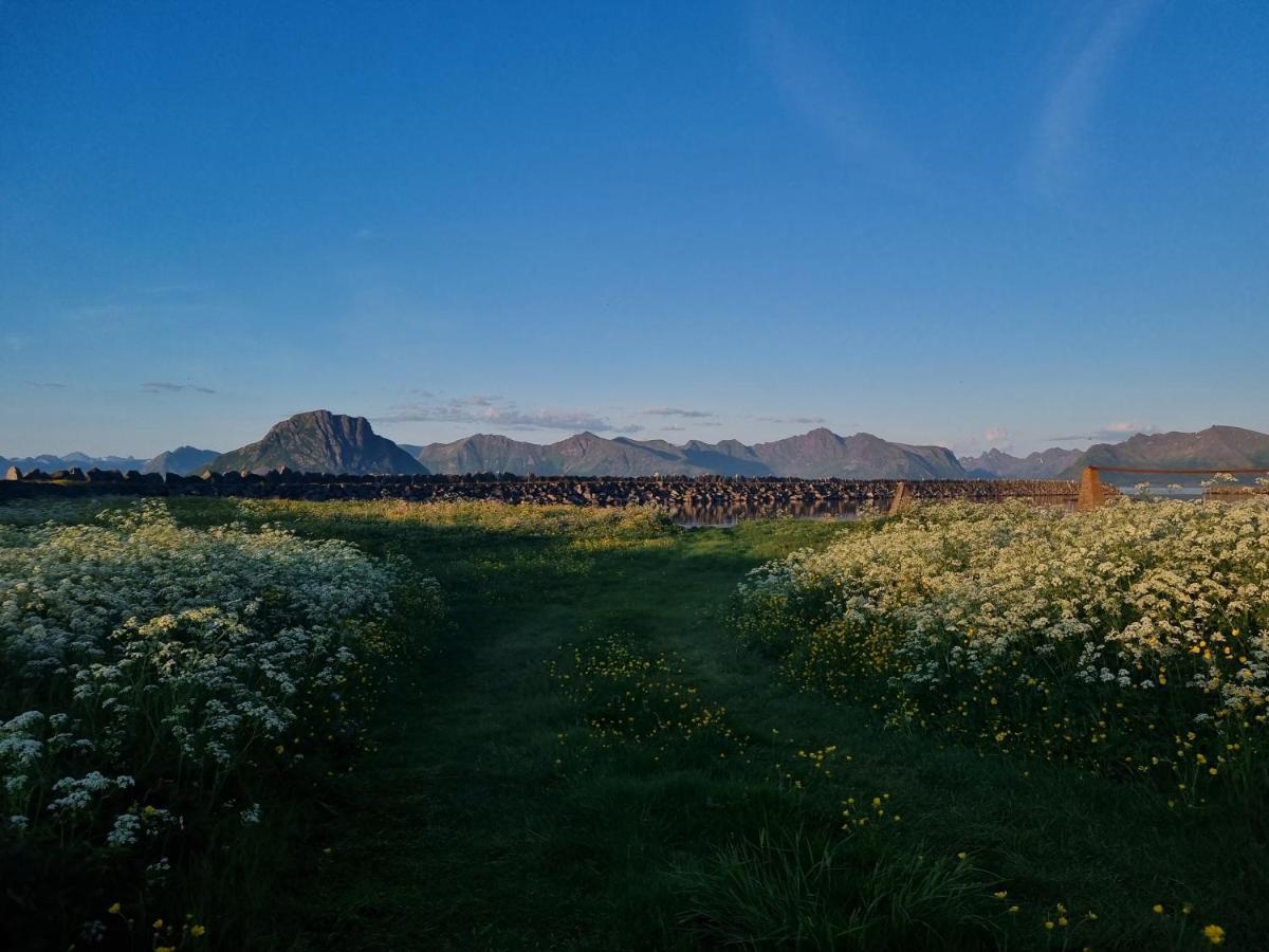 Villa Walter Lofoten With Sauna Kvalnes  Esterno foto